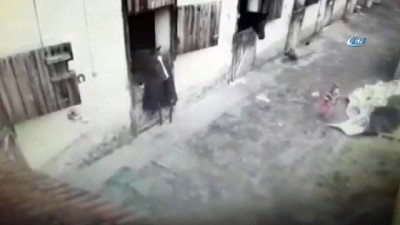 at ciftligi -  Kangal hırsızı kameraya yakalandı  Videosu