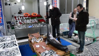 kilic baligi - Marmara'da yaklaşık 2,5 metrelik kılıç balığı yakalandı - KIRKLARELİ  Videosu