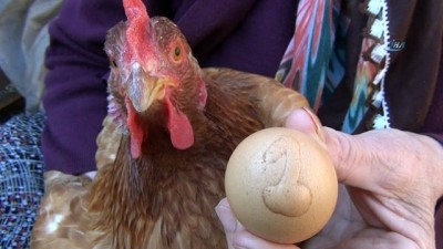 yakin plan -  Üzerinde 1 yazan yumurtayı bin liradan satışa çıkardı  Videosu