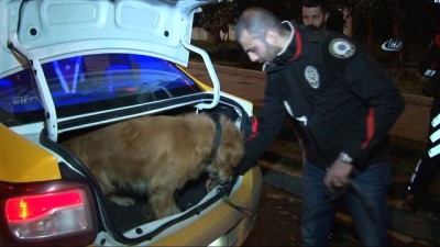 narkotik kopek -  İstanbul’da Yeditepe Huzur Uygulaması Videosu
