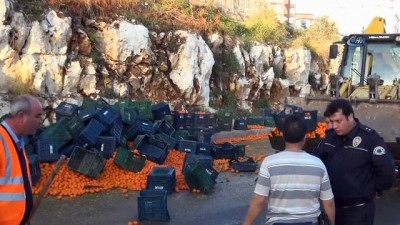 is makinasi -  Tır yola devrildi, karayolu portakal tarlasına döndü  Videosu