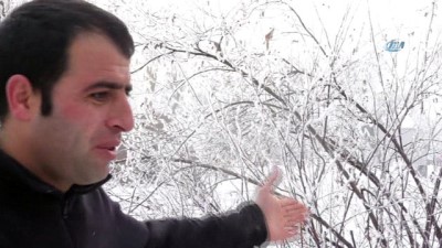 yakit deposu -  Doğu Anadolu buz tuttu  Videosu