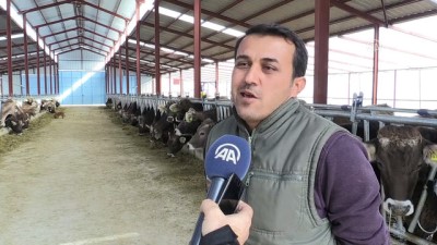 kredi destegi - Almanya'dan getirdiği ineklerle Antalya'da çiftlik kurdu  Videosu