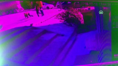 kalaba - Bilecik'te kavga: 2 yaralı Videosu