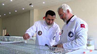 yaris - 4. Hünkari ve Manisa Azmanı Güzellik Yarışması - MANİSA Videosu