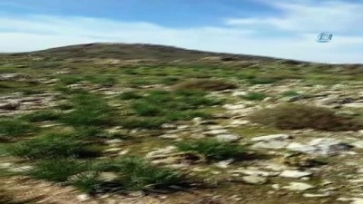 teroristler -  - Afrin'in batısında iki köy daha alındı  Videosu