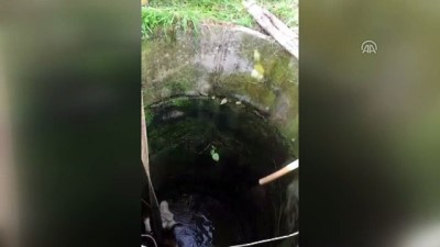is makinesi - Kuyuya düşen inek kurtarıldı - MUĞLA Videosu