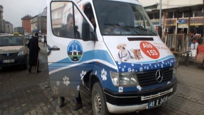hayvan barinagi -  Malazgirt’te ‘Kalbimiz Sokakta Atıyor’ projesi  Videosu