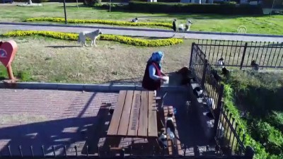 kirikli - Muazzez teyzenin 5 kilometrelik 'iyilik' yolculuğu (2) - ANTALYA  Videosu