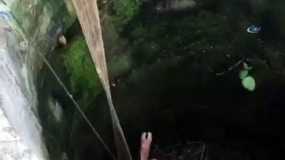 kurtarma operasyonu -  İtfaiye ekiplerinin zorlu inek kurtarma operasyonu  Videosu