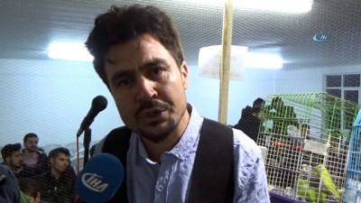 hayvan -  Kanatlı hayvan mezatına yoğun ilgi Videosu