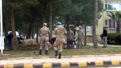 guvenlik gucleri -  Komandolar Afrin'e dualarla uğurlandı Videosu