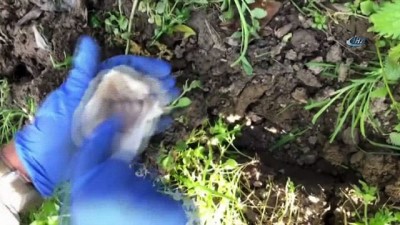 uyusturucu tacirleri -  Topraktan eroin fışkırdı  Videosu