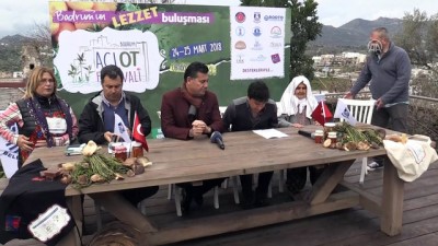 Muğla'da 'acı ot festivali' düzenlenecek