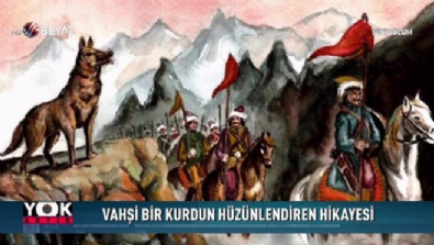 yok artik - Vahşi bir kurdun hüzünlendiren hikayesi  Videosu