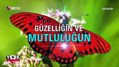 yok artik - Kelebeklerin ömrü gerçekten bir gün mü?  Videosu