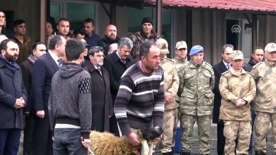 ozel harekatci - PÖH timi dualarla Afrin'e uğurlandı - BİTLİS Videosu