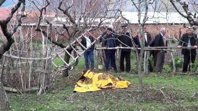 cenaze araci - Budamak istediği ağaçtan düşen kişi öldü - TOKAT Videosu