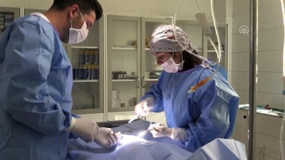 ameliyathane - Sahiplendirilen kedi ve köpeklere çipli takip - BOLU  Videosu