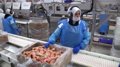 fakulte - Hazır gıdaya talebin artması işletmeleri yeni yatırımlara yöneltti - SAKARYA  Videosu