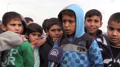 siginma - Suriyeli çocukların 'terörsüz vatan' hayali - ŞANLIURFA  Videosu