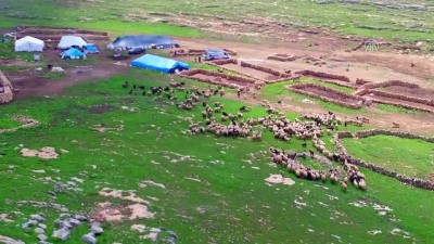 et ithalati - Fakıbaba '300 koyun' projesine açıklık getirdi - ŞANLIURFA  Videosu