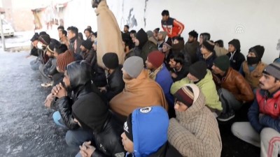 kacak - Ardahan'da 79 kaçak yakalandı Videosu