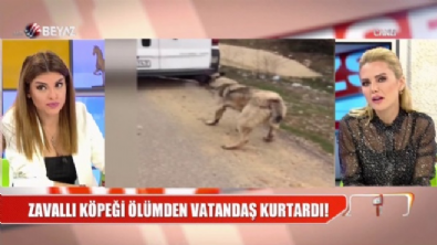 soylemezsem olmaz - Bu nasıl vicdansızlık!  Videosu