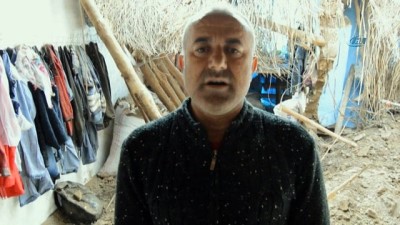 hayvan -  Enkaz altında kalan 100 küçükbaş hayvan telef oldu Videosu