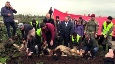 sehit yakinlari - Şehit aileleri Suriye sınırında - HATAY  Videosu