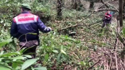 barla -  49 gündür kayıp olan yaşlı adam ormanlık alanda arandı Videosu
