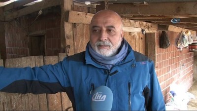 hastalik -  Çanakkale'de şap karantinası...43 köye giriş çıkışlar yasak Videosu