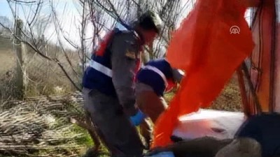 hirsiz - Hırsızlık operasyonu - İSTANBUL  Videosu