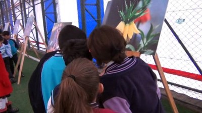 ihlas -  İHA muhabiri Beytüşşebap’ta sergi açtı  Videosu