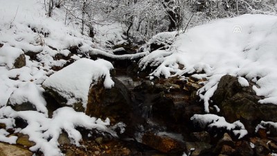 Kar yağışı - KIRKLARELİ 