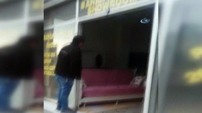 mobilya magazasi -  Yolunu şaşıran tilki mağazaya girdi  Videosu