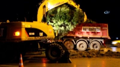  Denizli’de çok sayıda ağaç büyükşehir belediyesinin iş makineleriyle söküldü