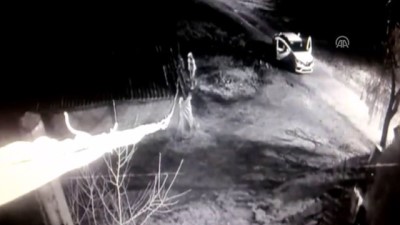 buyukbas hayvan - Hayvan hırsızlarına yönelik operasyon - İSTANBUL  Videosu