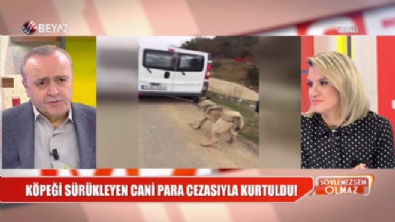 soylemezsem olmaz - Köpeğe işkencenin cezası belli oldu  Videosu