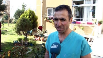 yanlis beslenme -  18 kiloluk kedi Tombalak'ı zayıflatmak için seferber oldular  Videosu