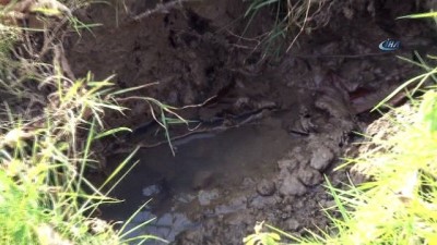 felaket -  Bu mahalle 1 yıldır kayıyor  Videosu