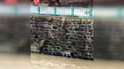 kurtarma operasyonu -  Derede mahsur kalan karaca için seferber oldular Videosu