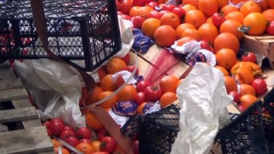 direksiyon -  Devrilen tırın şoförü:'Önümüze domuz çıktı'  Videosu