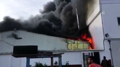 trol - Fide üretim tesisinde yangın - ANTALYA  Videosu