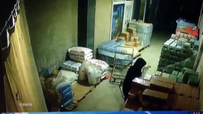 hayvan -  Gazoz ve soda hırsızları kamerada  Videosu