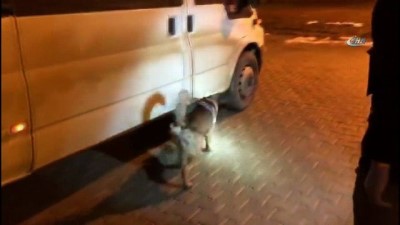 tahkikat -  Van'da 57 kilo eroin ele geçirildi  Videosu