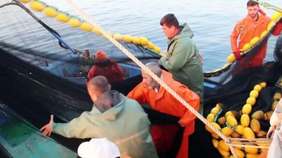 uttu - İskenderunlu balıkçı Mehmetçik için 'Vira Bismillah' dedi - HATAY Videosu