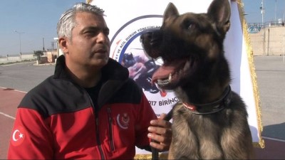 termal kamera -  İzmir'in şampiyon köpeği  Videosu