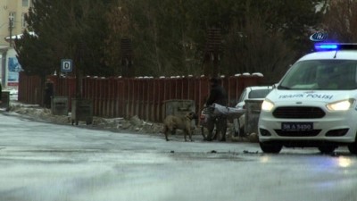 bisiklet -  Köpeğin boynuna ip bağlayıp bisikletin peşinde böyle koşturdu  Videosu