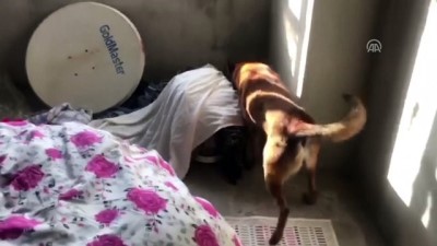 borat - Seyhan'da uyuşturucu operasyonu - ADANA  Videosu